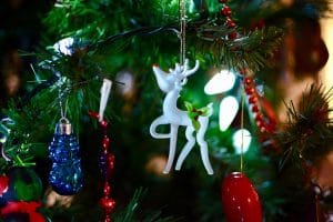 Kender I Den Om Rudolf