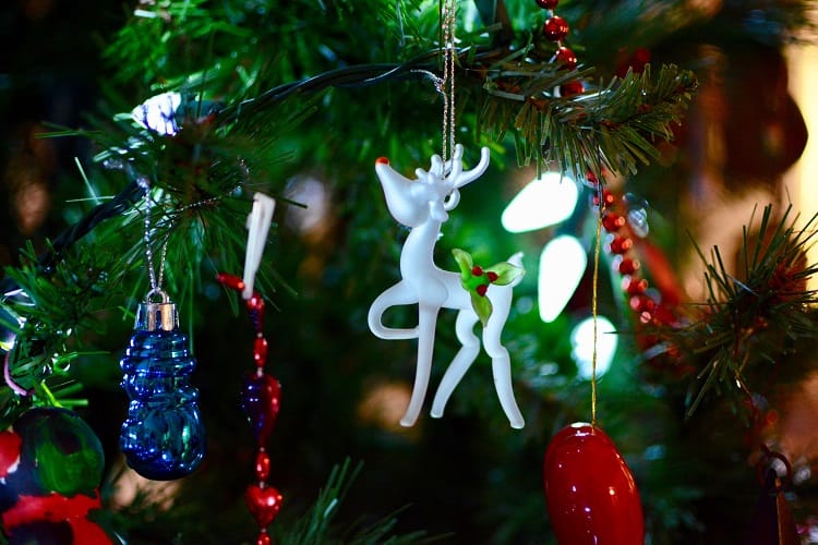 Kender I Den Om Rudolf