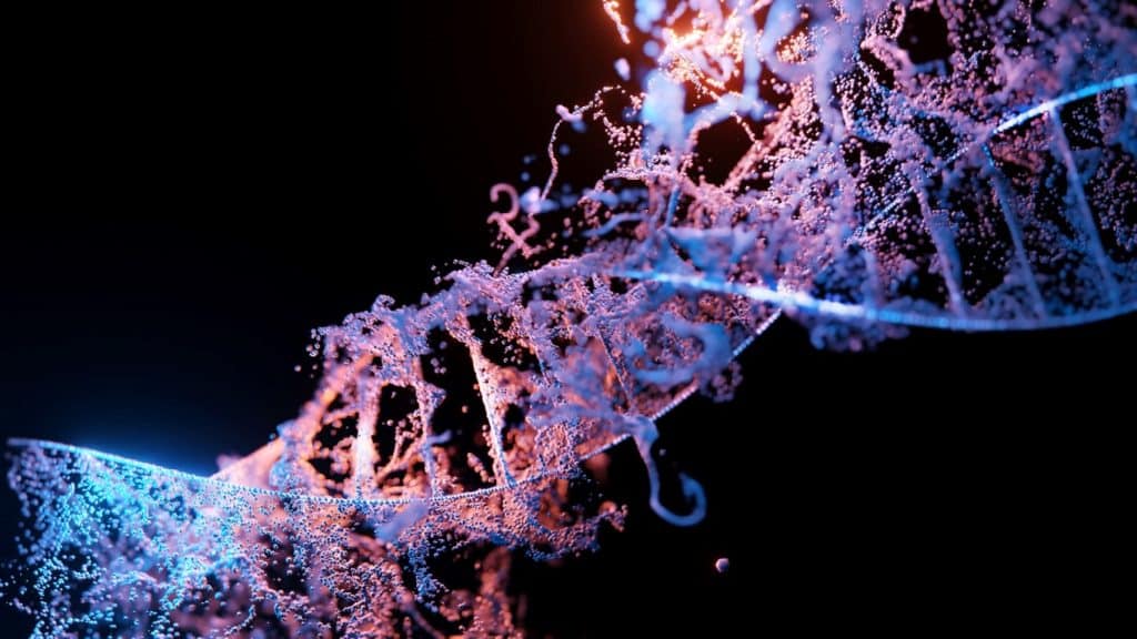 Mutation