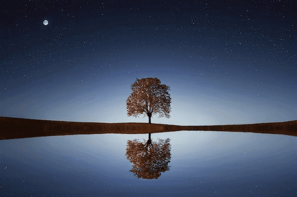 Reflektere