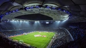 Storkamp i Parken