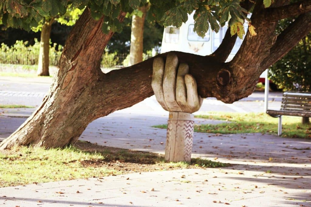 Clever
