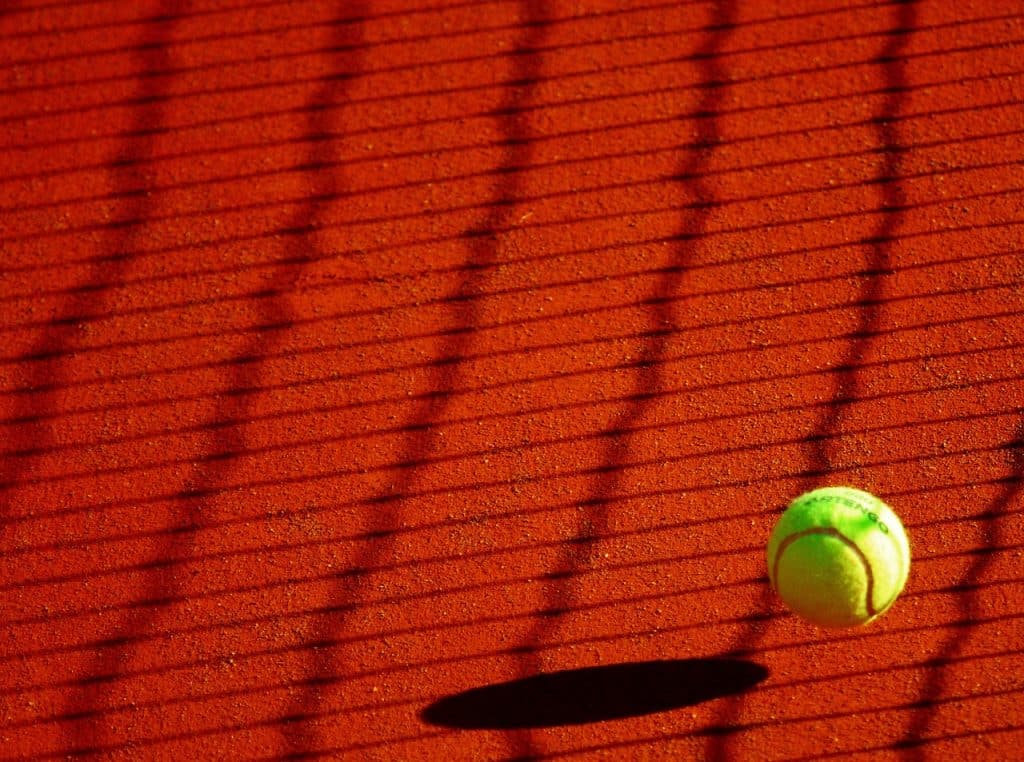 Alvaro Guillen Meza triumferer i Santos Brasil Tennis Cup: vinder tredje ATP Challenger titel!